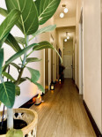 Treatment room corridor with plants and warm lighting at 7 Day Spa